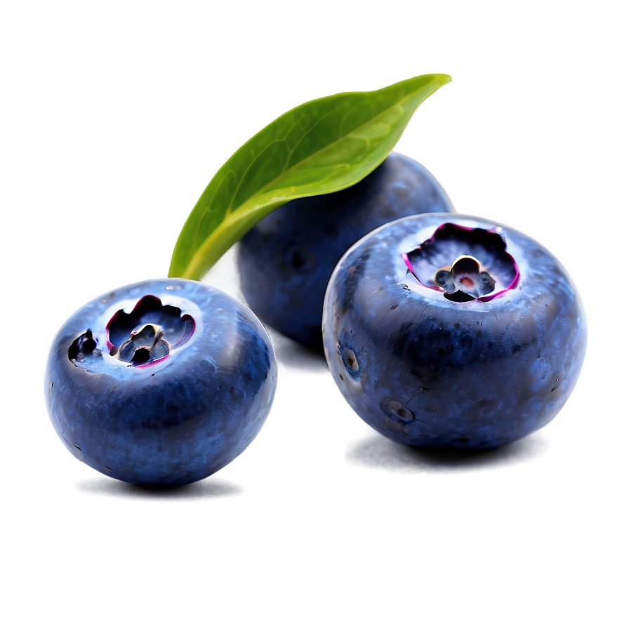 Blueberry Culinary Art Png 8 PNG Image