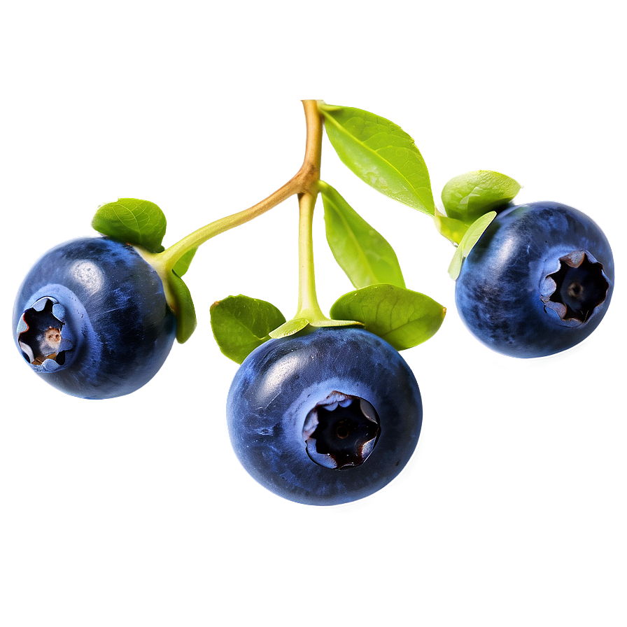 Blueberry Drop Png Lwq96 PNG Image