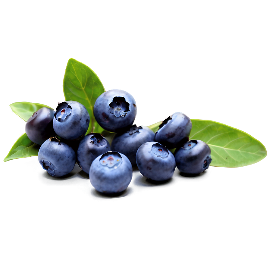 Blueberry Festival Pick Png 05212024 PNG Image