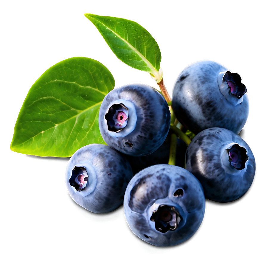 Blueberry Field Dream Png 05212024 PNG Image