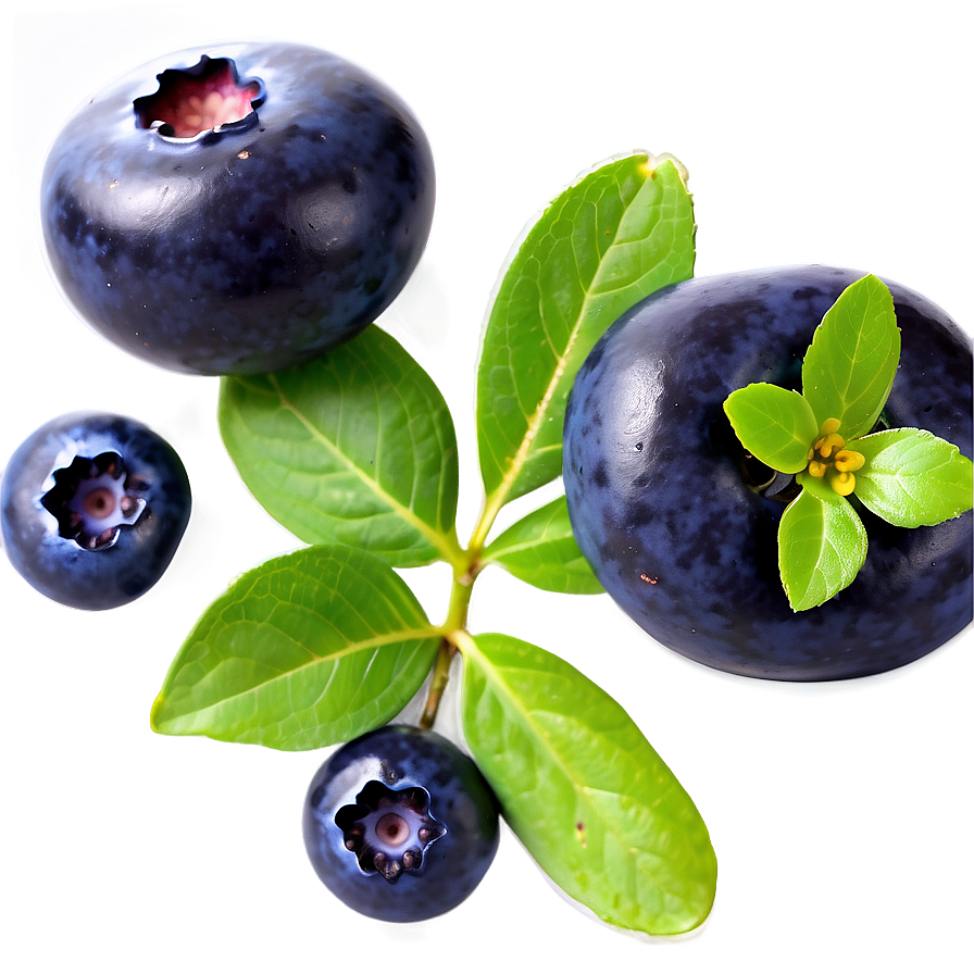 Blueberry Glaze Recipe Png Yik PNG Image