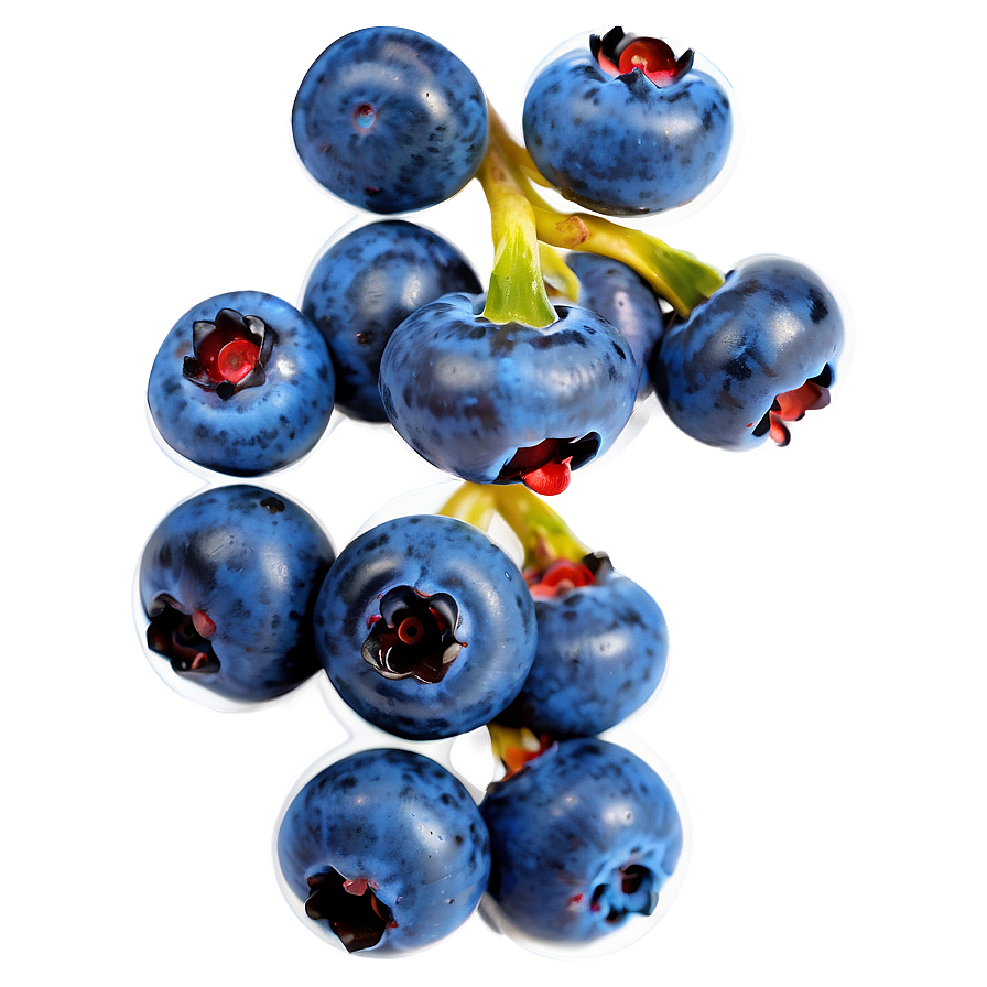 Blueberry Harvest Png 05242024 PNG Image