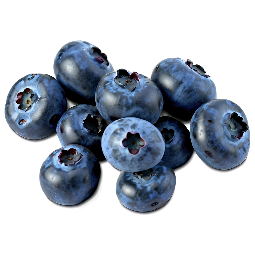 Blueberry Photography Png Tev17 PNG Image