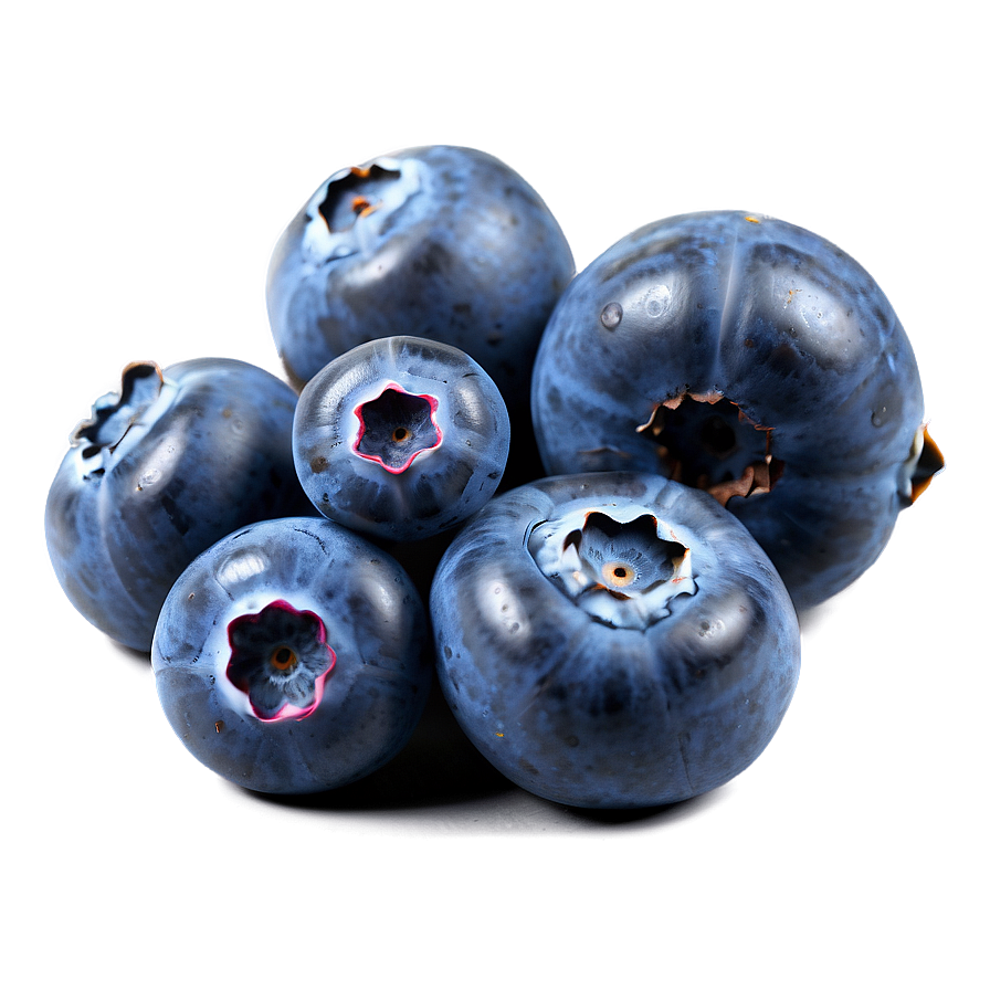 Blueberry Top View Png Tvl20 PNG Image