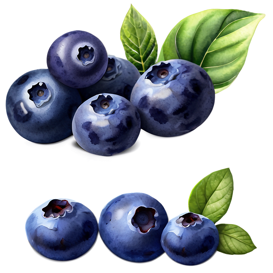 Blueberry Watercolor Png Ofk86 PNG Image