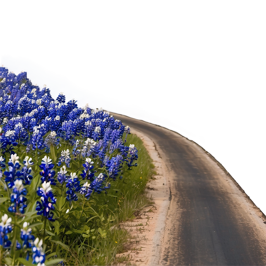 Bluebonnet Country Road Png Xdu PNG Image