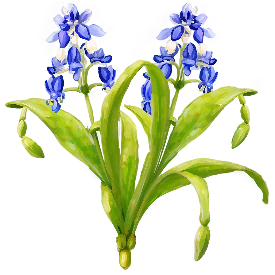 Bluebonnet Floral Pattern Png Giw PNG Image