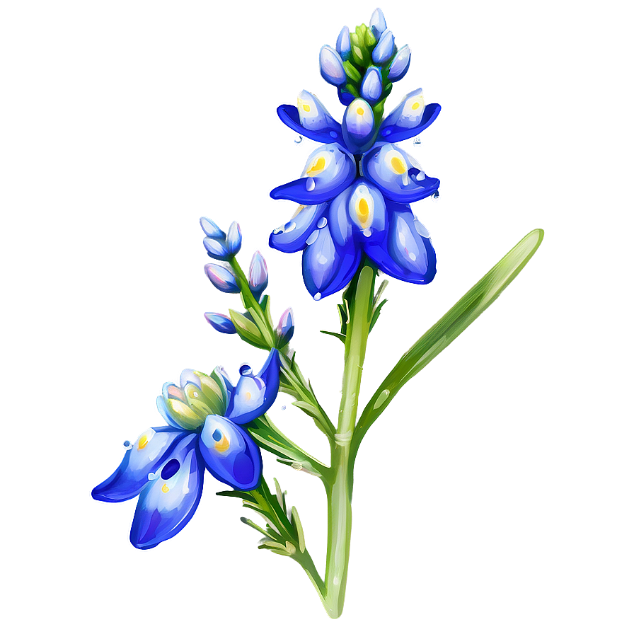 Bluebonnet With Dew Drops Png Otx36 PNG Image