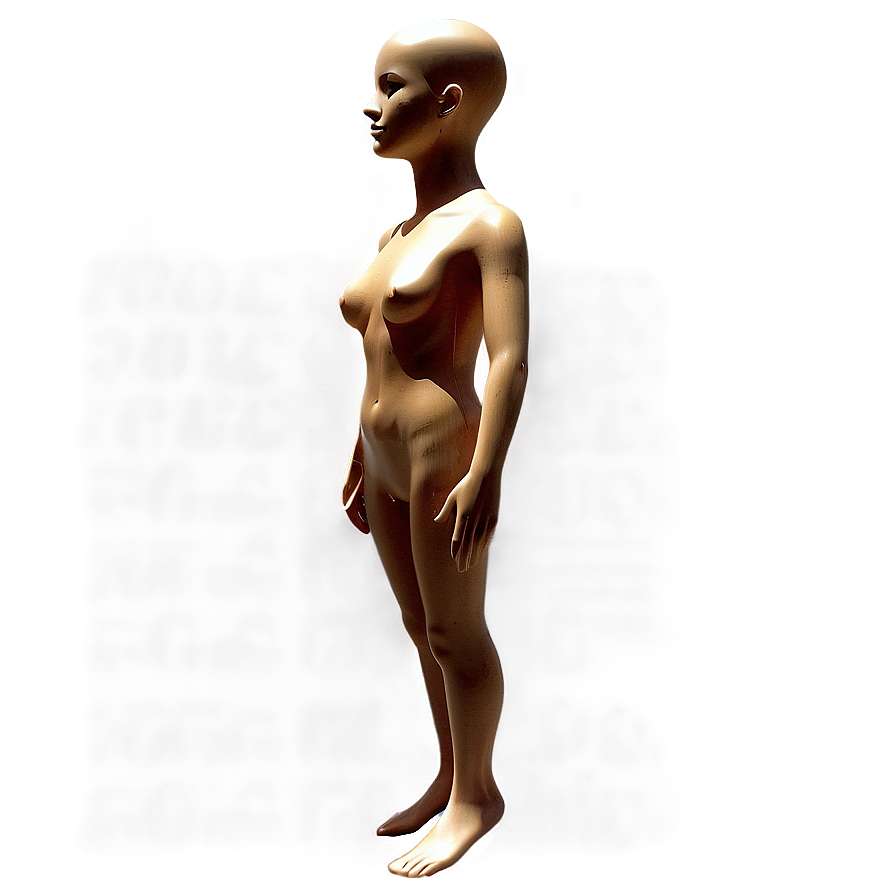 Body Form Mannequin Png Bsj20 PNG Image