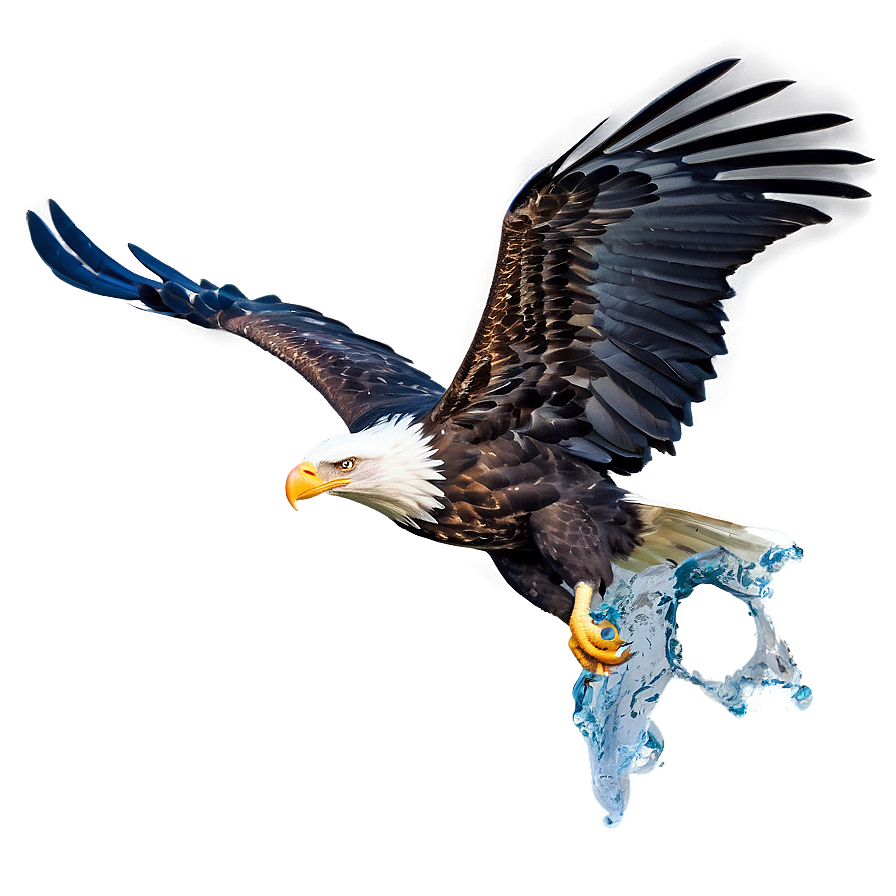 Bold Eagle Catching Fish Png 06112024 PNG Image