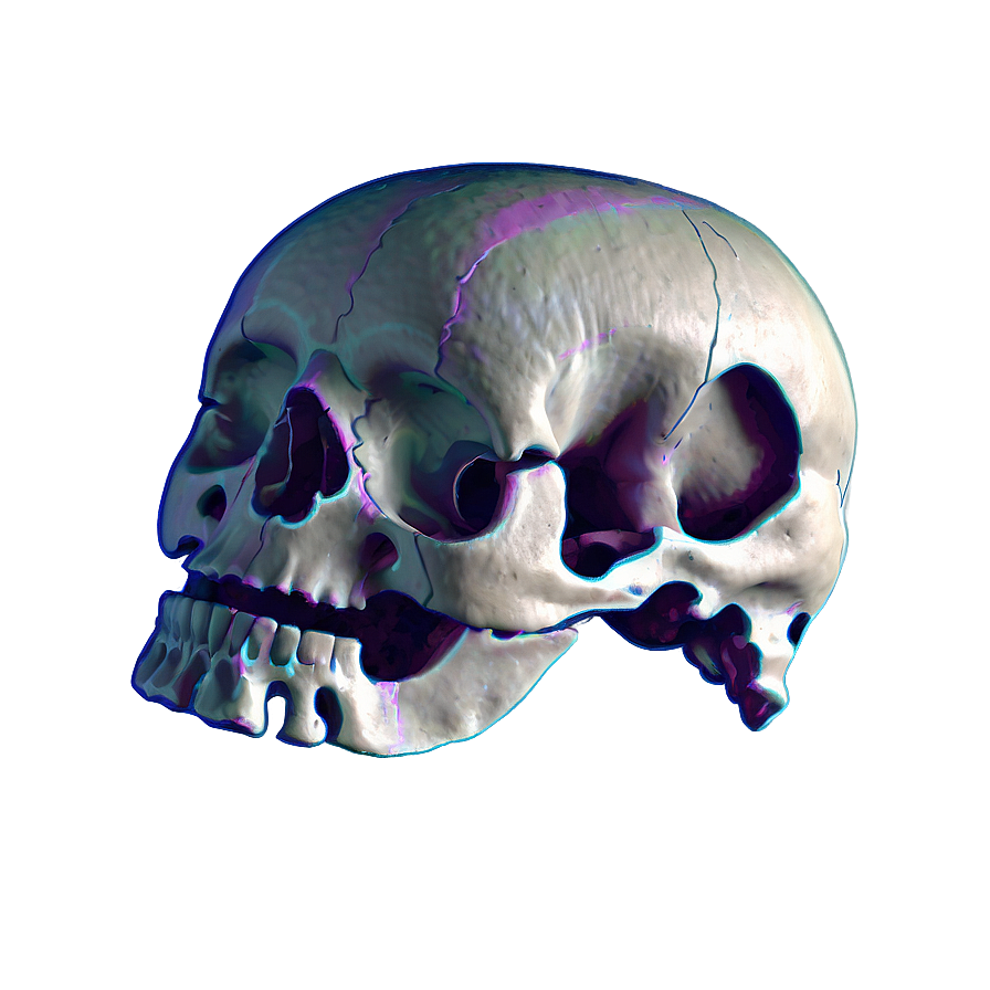 Bone Structure Png Bmq67 PNG Image