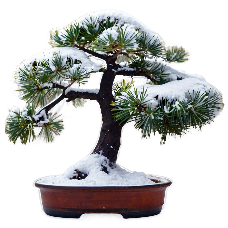 Bonsai Tree In Snow Png Clp PNG Image