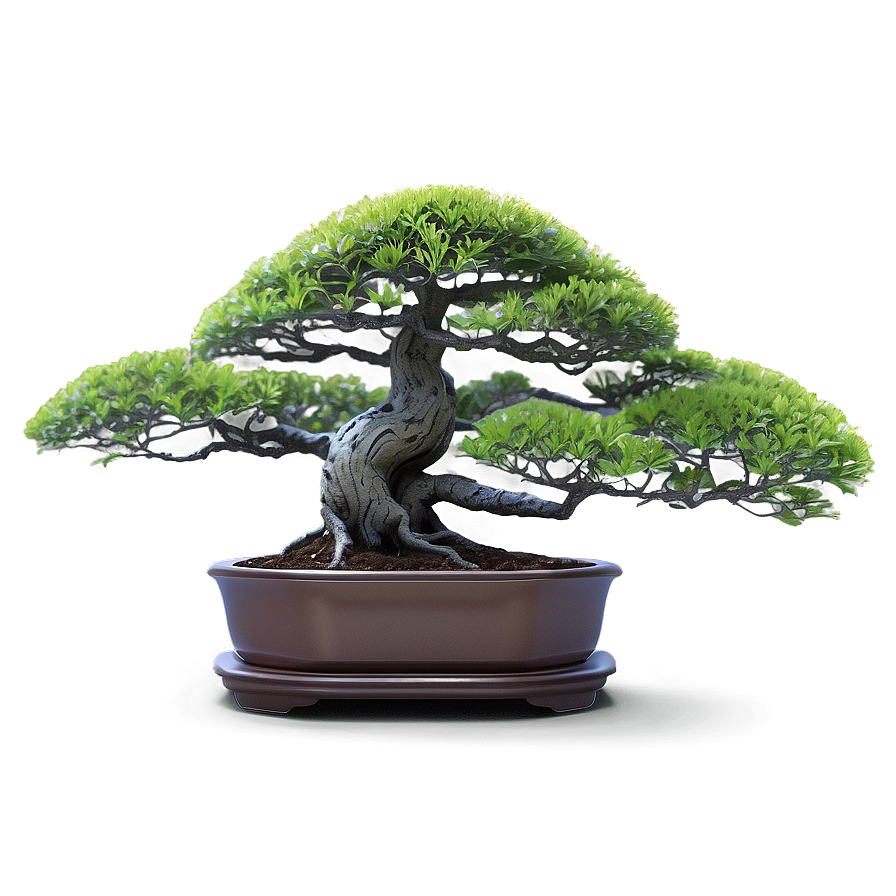 Bonsai Tree Toolkit Png Ocb37 PNG Image