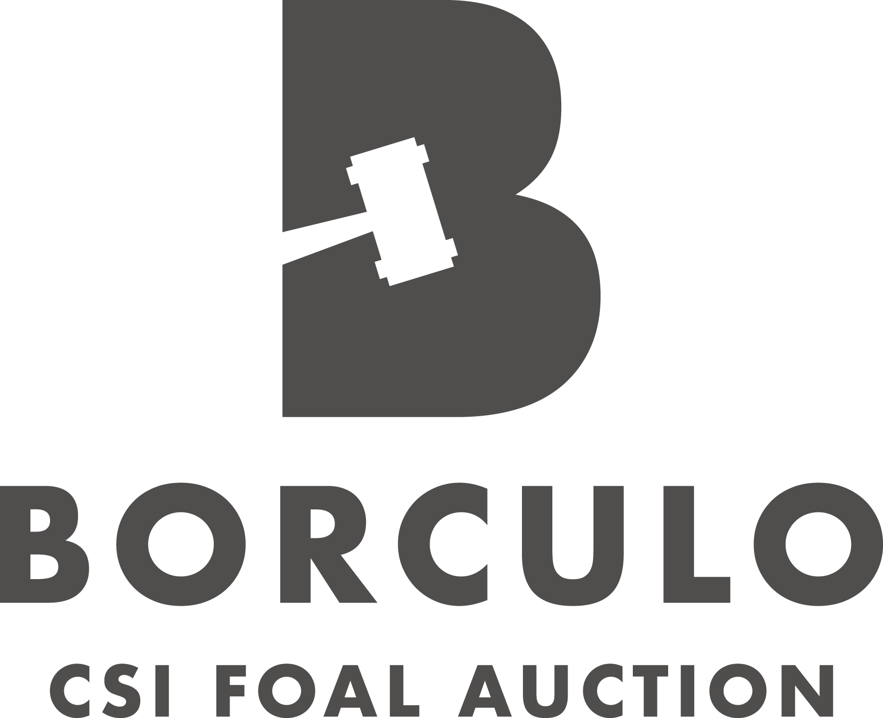 Borculo C S I Foal Auction Logo PNG Image