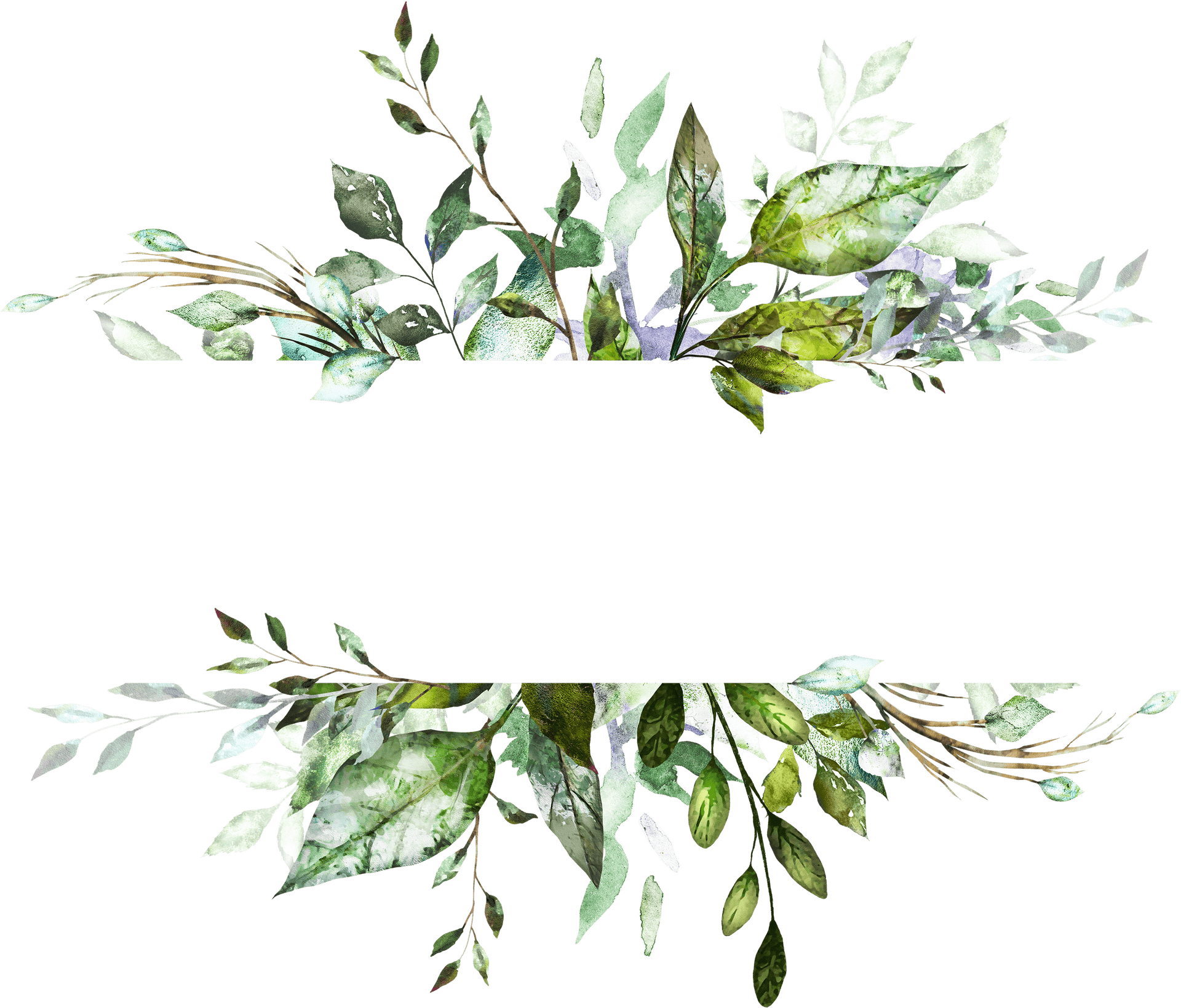 Botanical Leaves Frame Design PNG Image