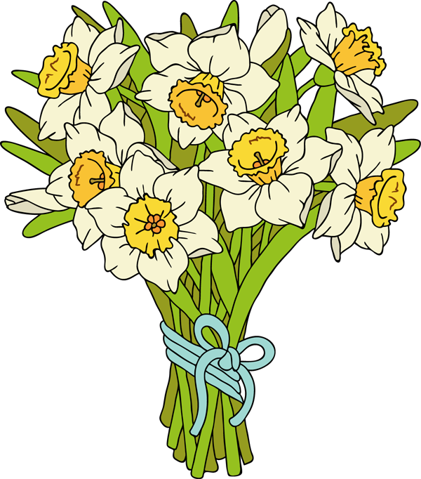 Bouquetof Daffodils Illustration PNG Image