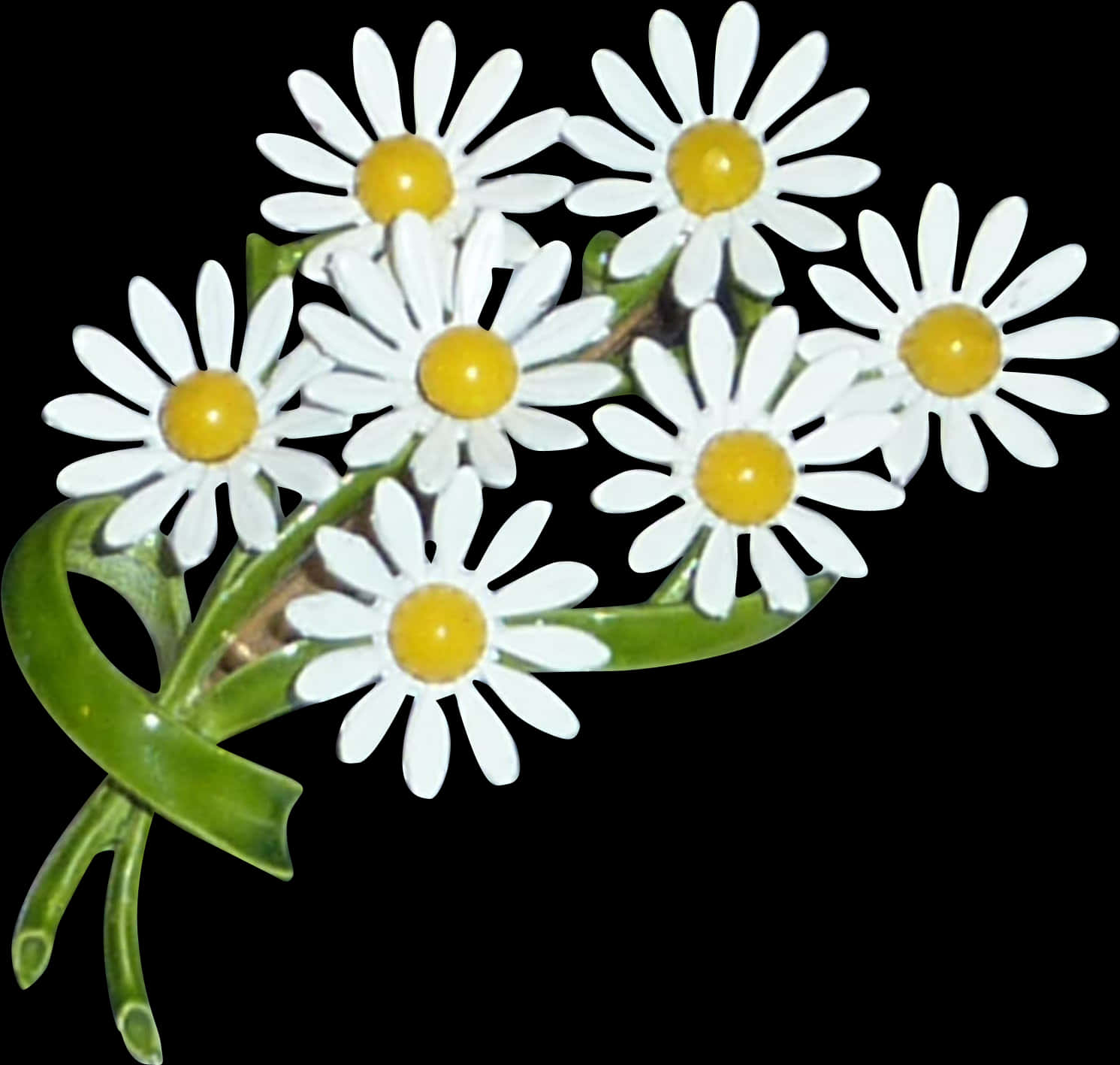 Bouquetof Daisies Black Background PNG Image