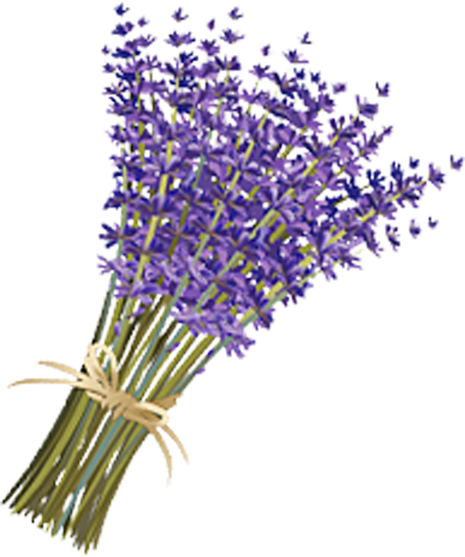 Bouquetof Lavender Flowers PNG Image