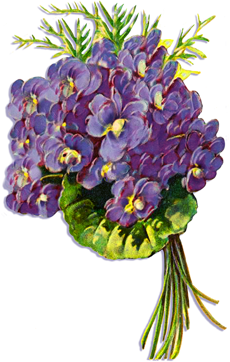 Bouquetof Violets PNG Image