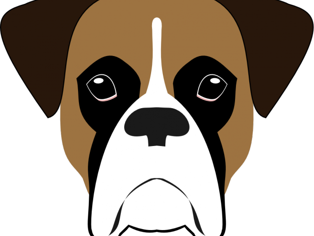 Boxer Dog Vector Portrait PNG Image