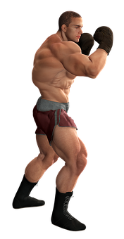 Boxer Ready Stance PNG Image