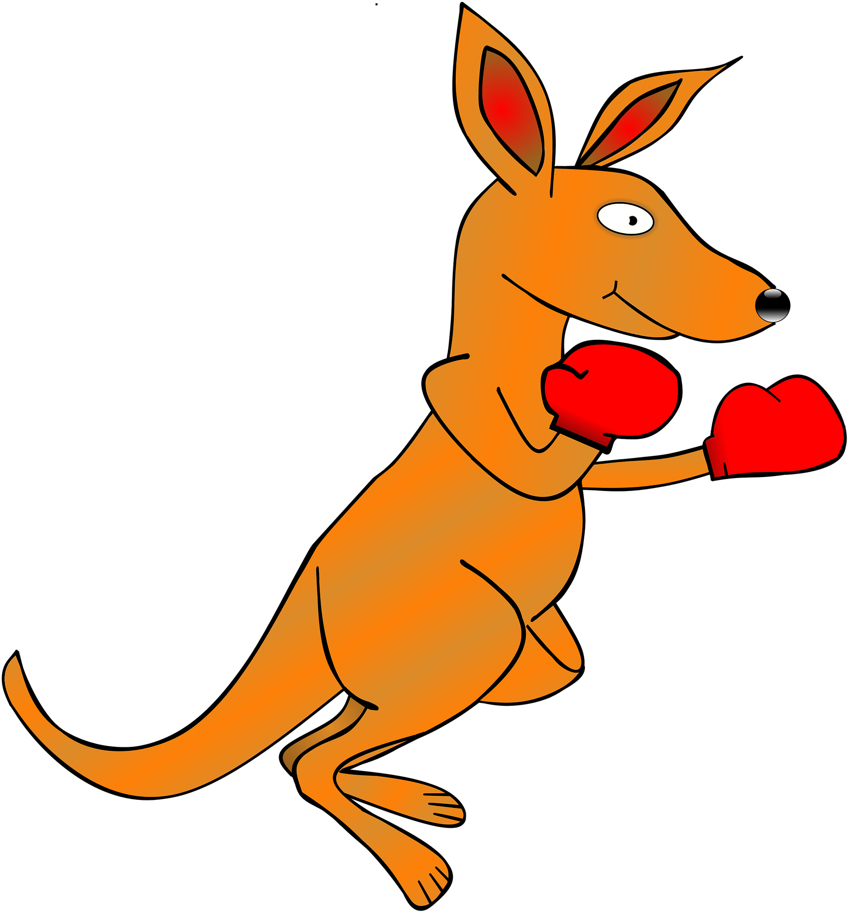 Boxing Kangaroo Cartoon PNG Image