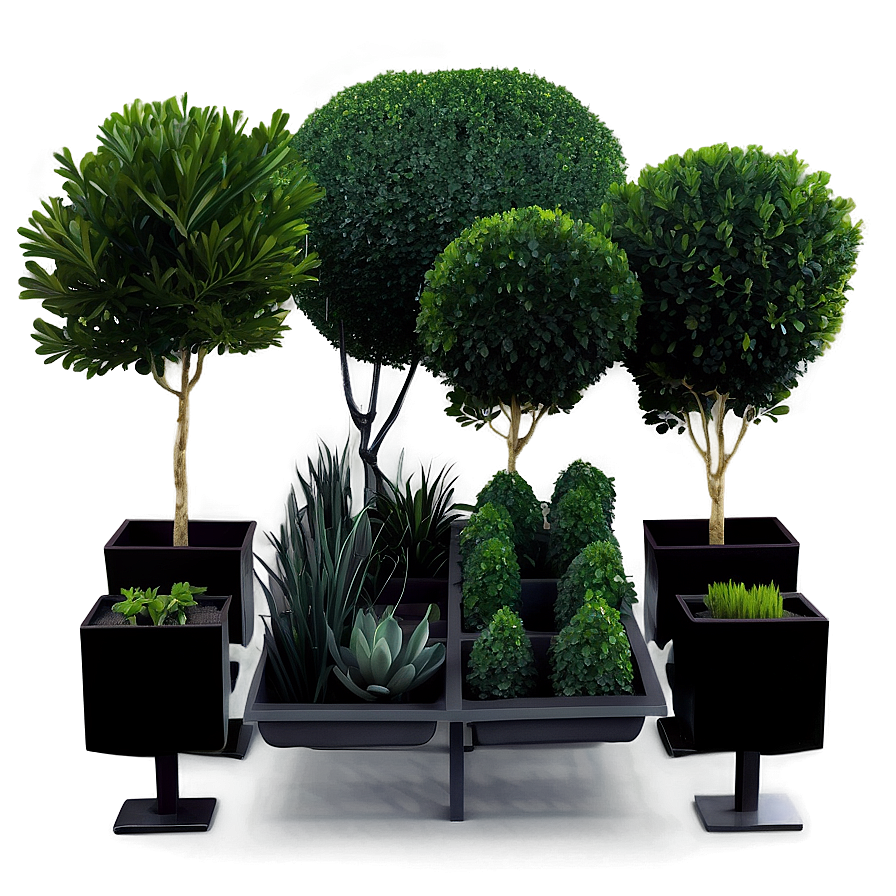 Boxwood Collection Png 06212024 PNG Image