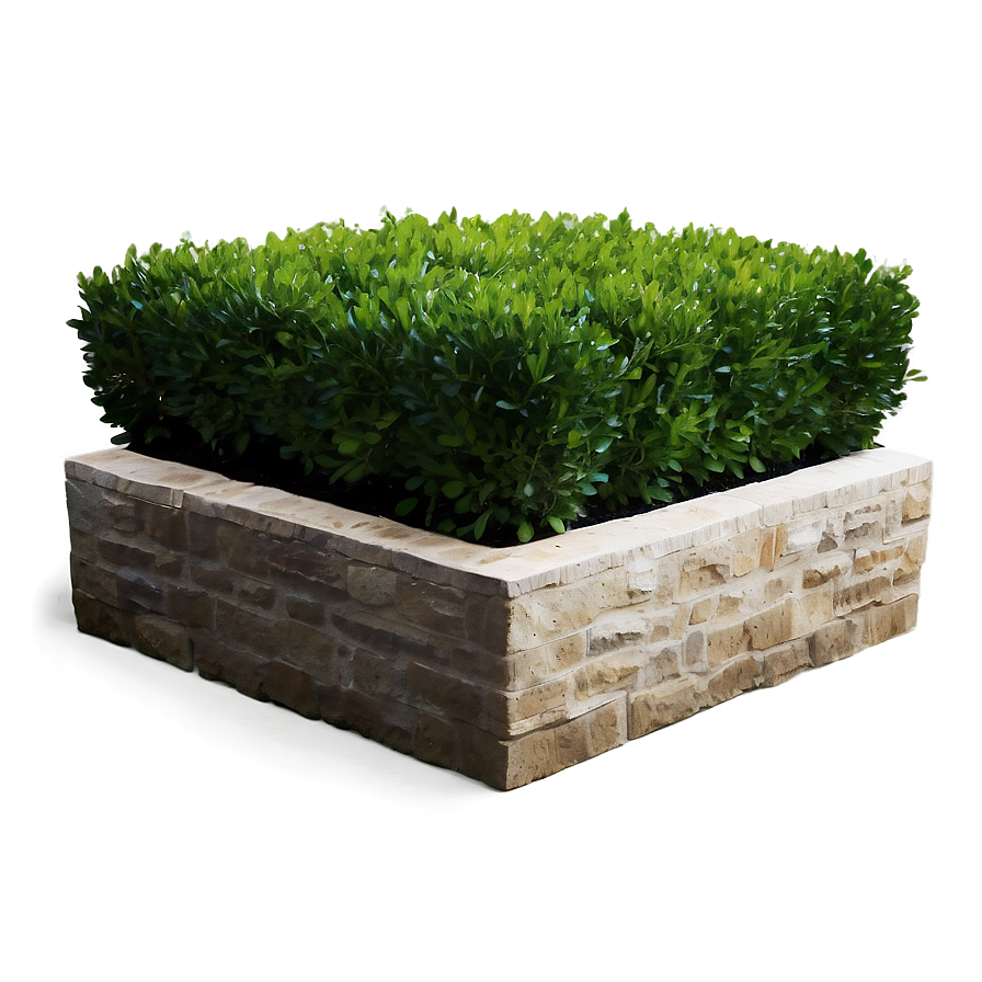 Boxwood Corner Png Crk PNG Image