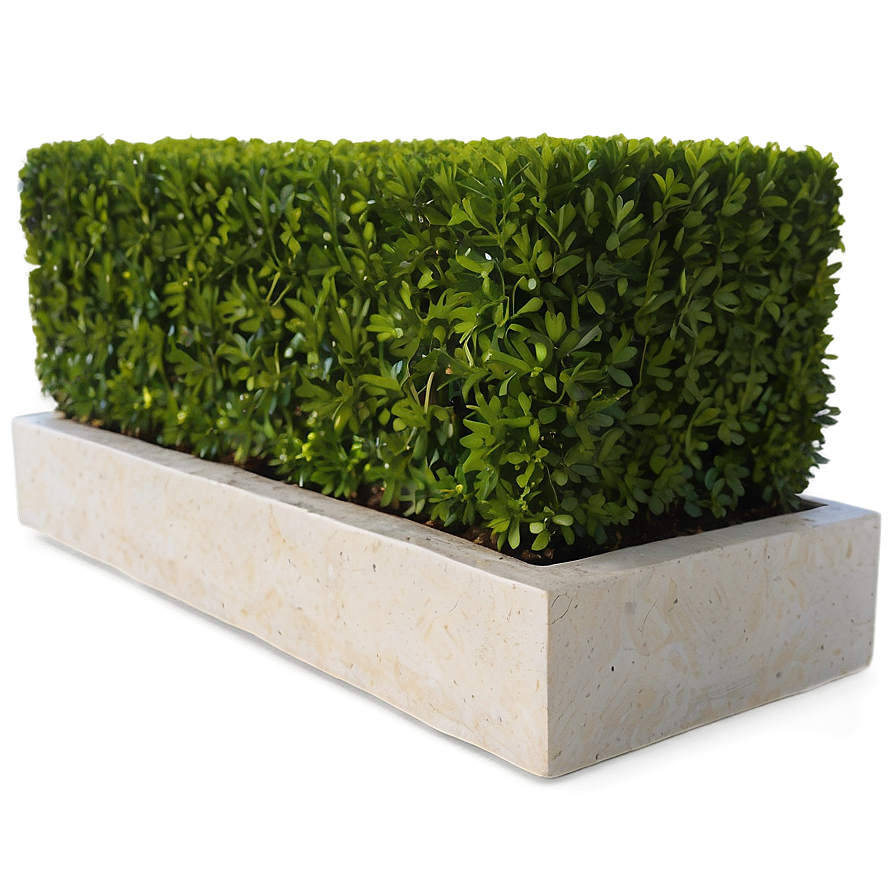 Boxwood Edging Png 49 PNG Image