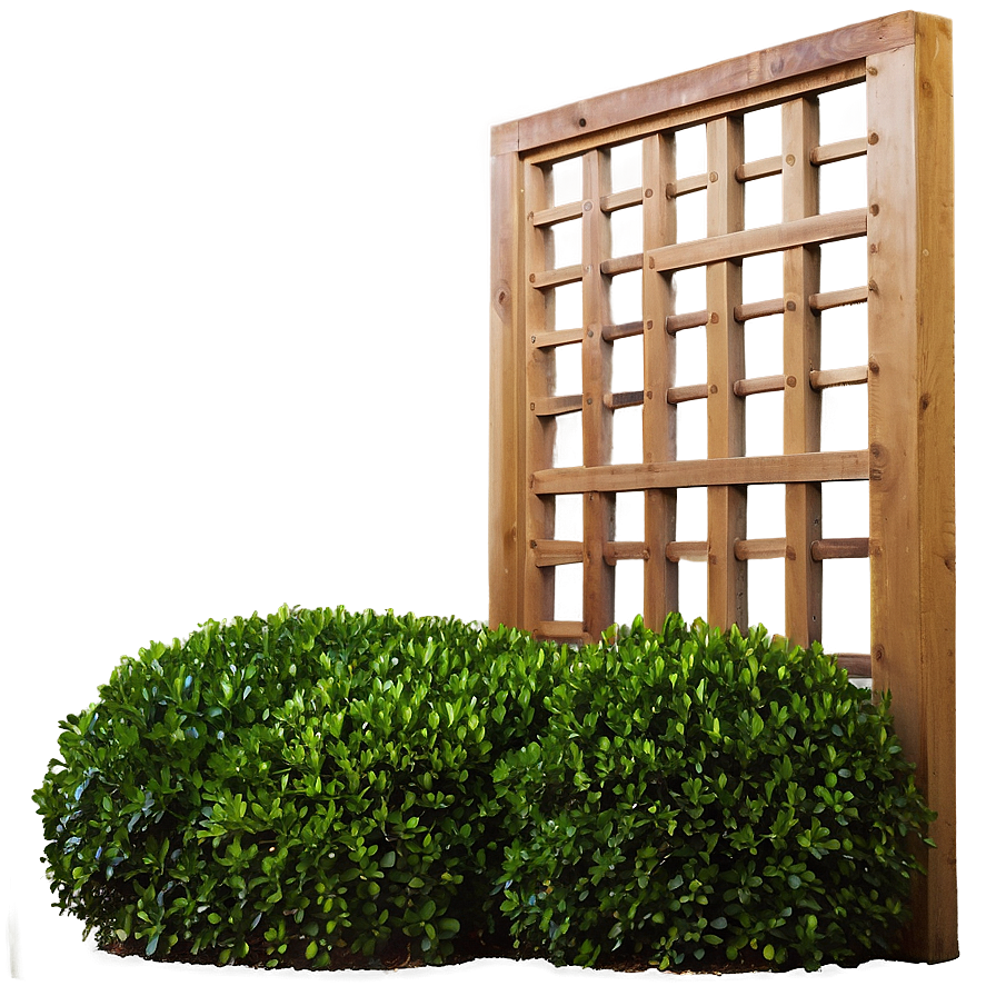 Boxwood Screen Png Wkq PNG Image