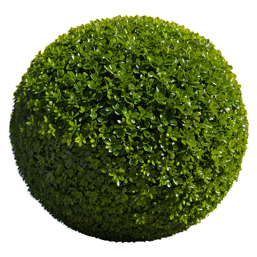 Boxwood Sphere Png 93 PNG Image