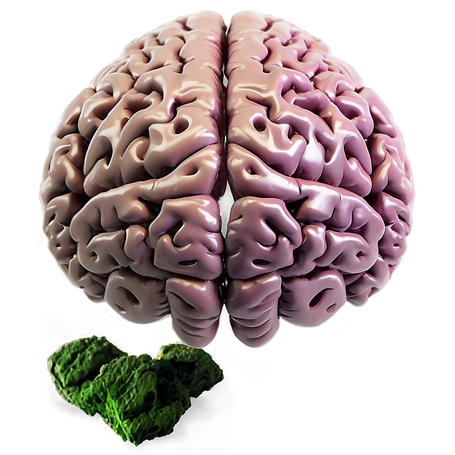 Brain B PNG Image