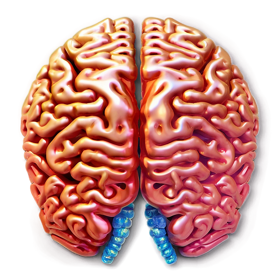 Brain In Light Png 04292024 PNG Image