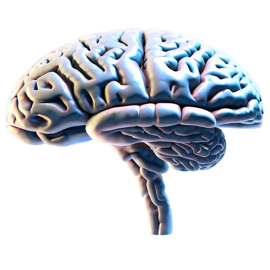 Brain Outline C PNG Image