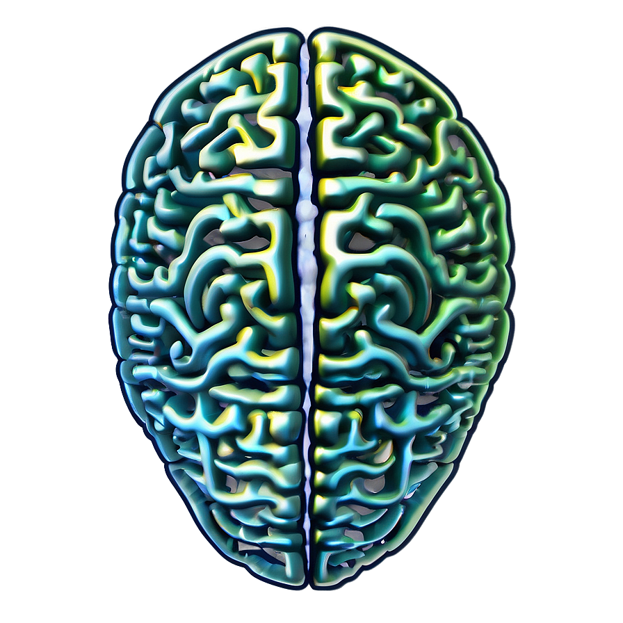 Brain Structure Outline Png 12 PNG Image