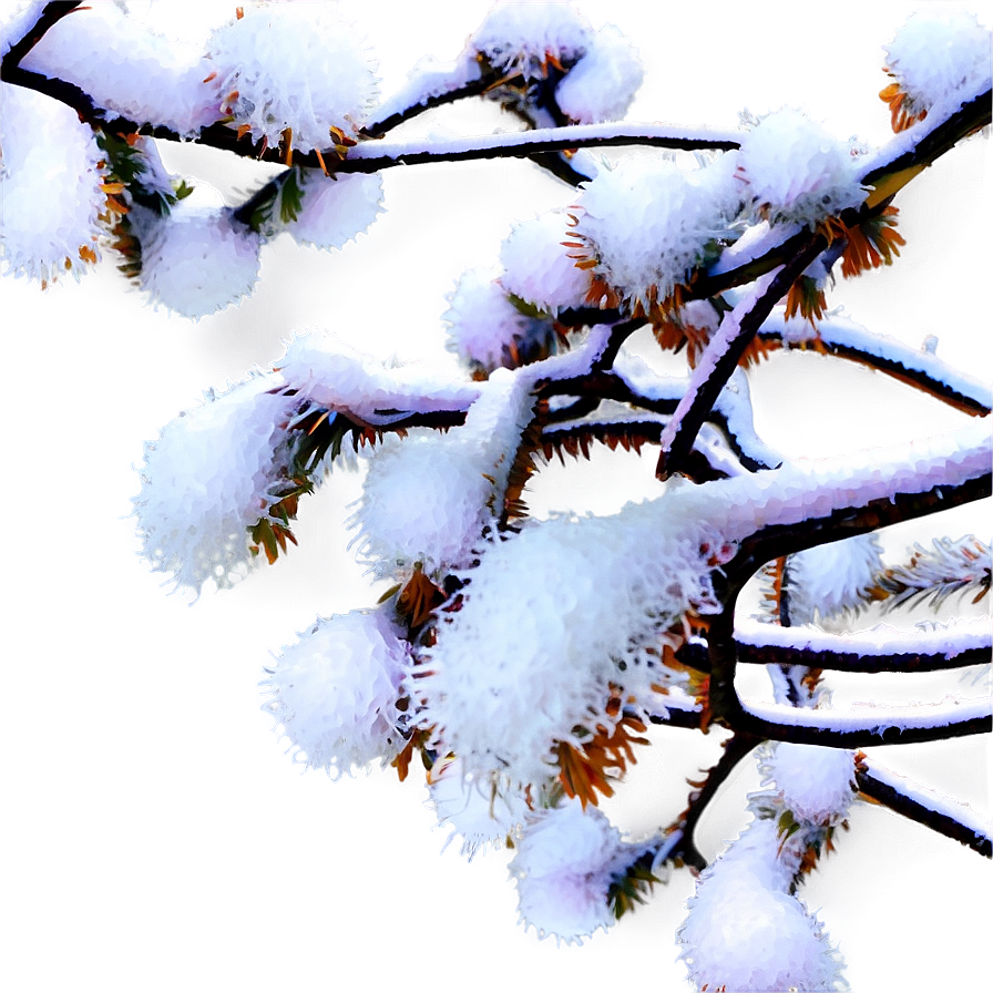 Branches With Snow Png Ixa62 PNG Image