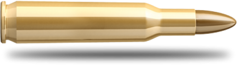 Brass Bullet Isolated PNG Image