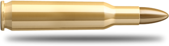 Brass Bullet Isolatedon White PNG Image