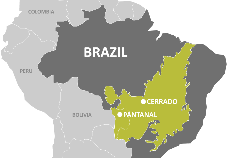 Brazil Ecoregions Map Cerrado Pantanal PNG Image