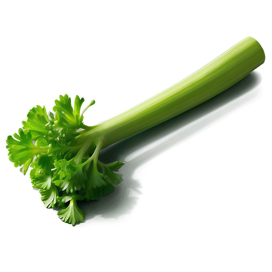 Bright Green Celery Png 06252024 PNG Image