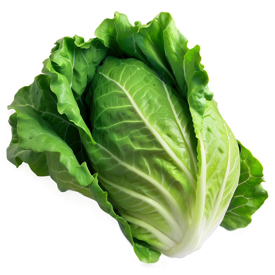 Bright Green Lettuce Png 05242024 PNG Image