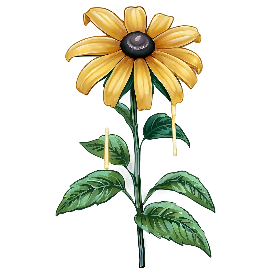 Bright Yellow Black Eyed Susan Png 18 PNG Image