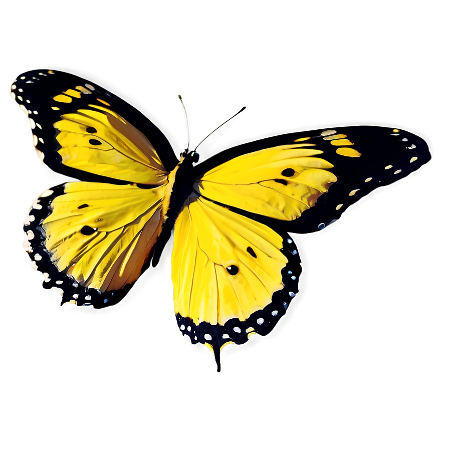 Bright Yellow Butterfly Png 68 PNG Image