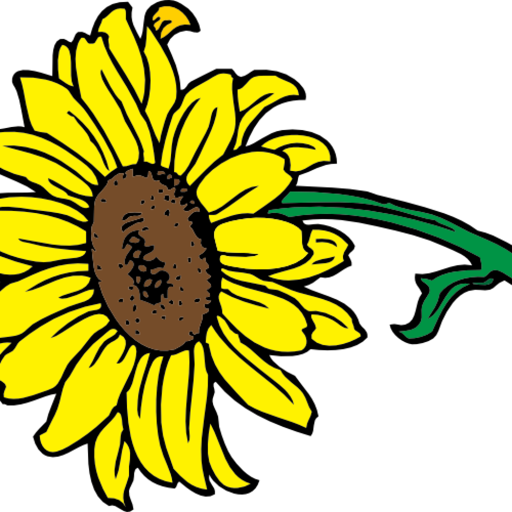 Bright Yellow Sunflower Clipart PNG Image