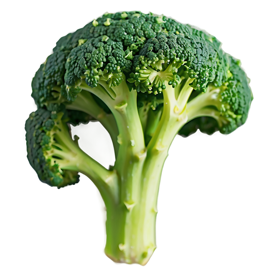 Broccoli Floret Close-up Png Ppb PNG Image