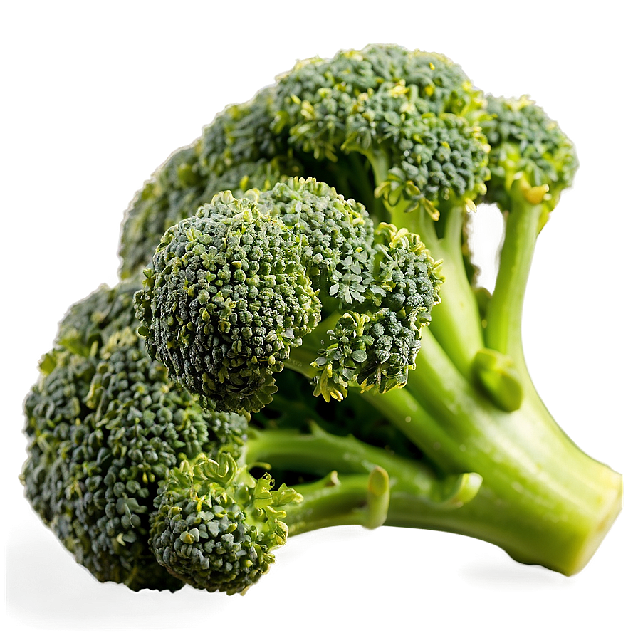 Broccoli Floret Close-up Png Xos PNG Image