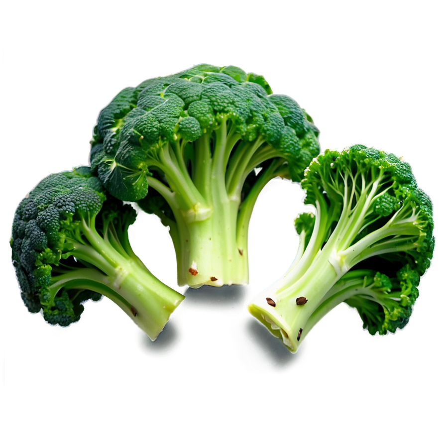 Broccoli Leaves Png 55 PNG Image