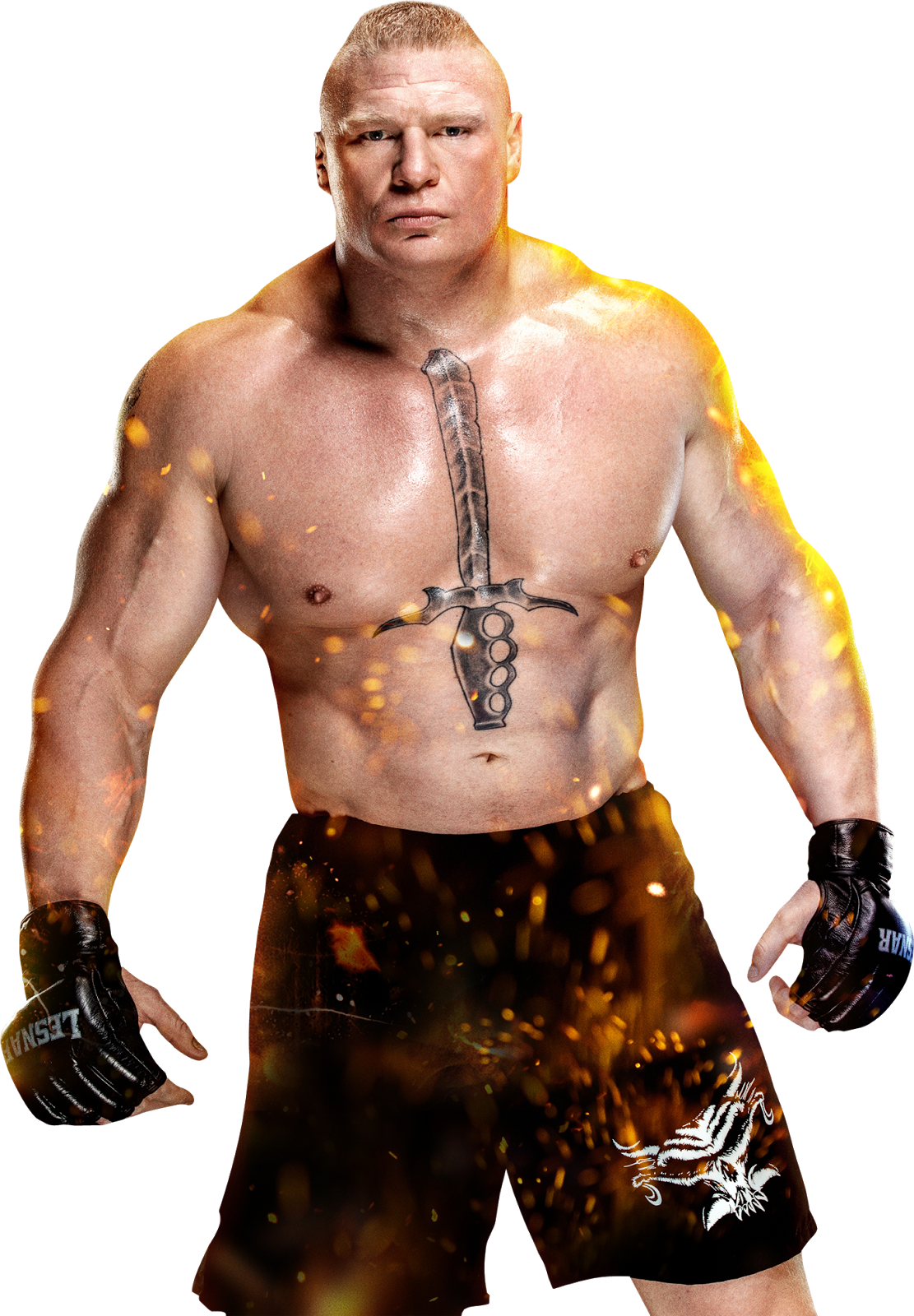 Brock Lesnar Fighter Stance PNG Image