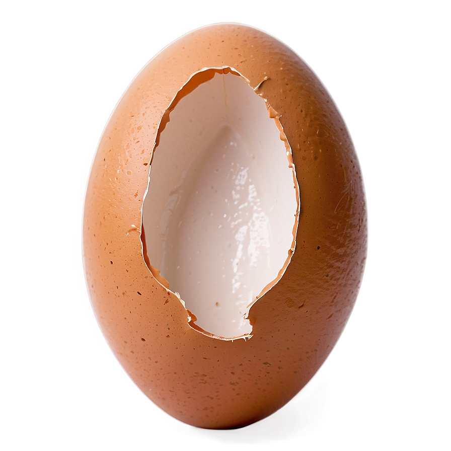 Broken Egg Top View Png Rcl60 PNG Image