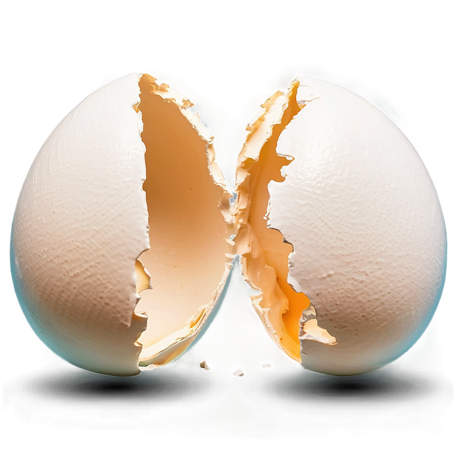 Broken Eggshell Art Png 91 PNG Image